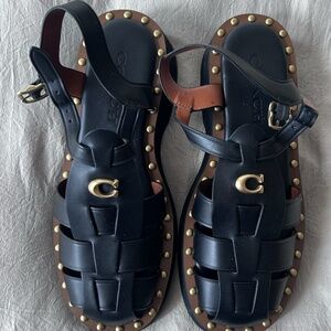 COACH Eliza Flap Crossbody